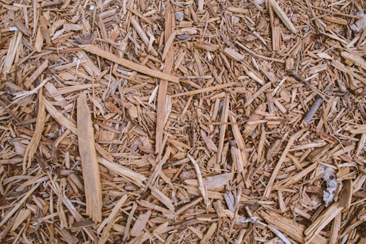 brown and black wooden sticks