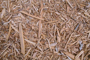 brown and black wooden sticks