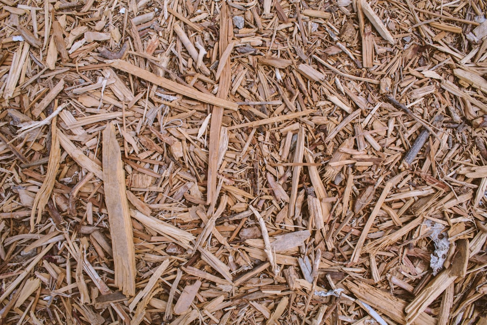 brown and black wooden sticks