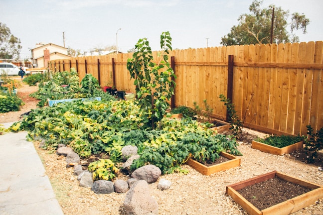A vibrant community garden symbolizing health and wellness.