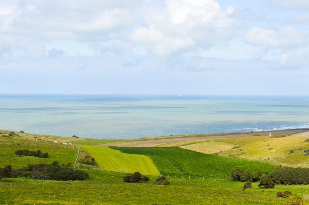 green grass field near body of water during daytime