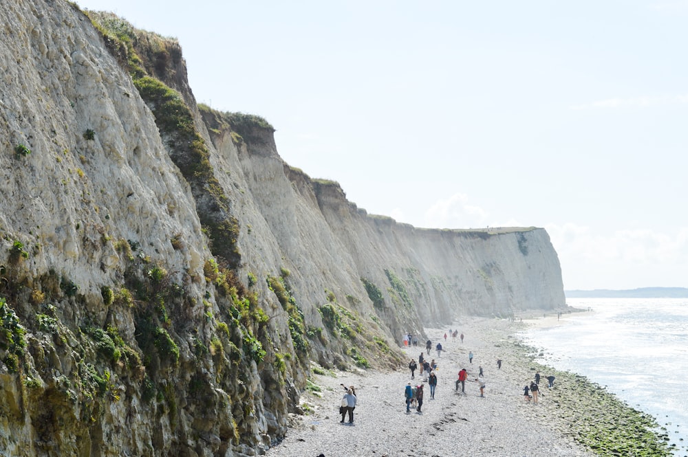 people walking on beach shore during daytime