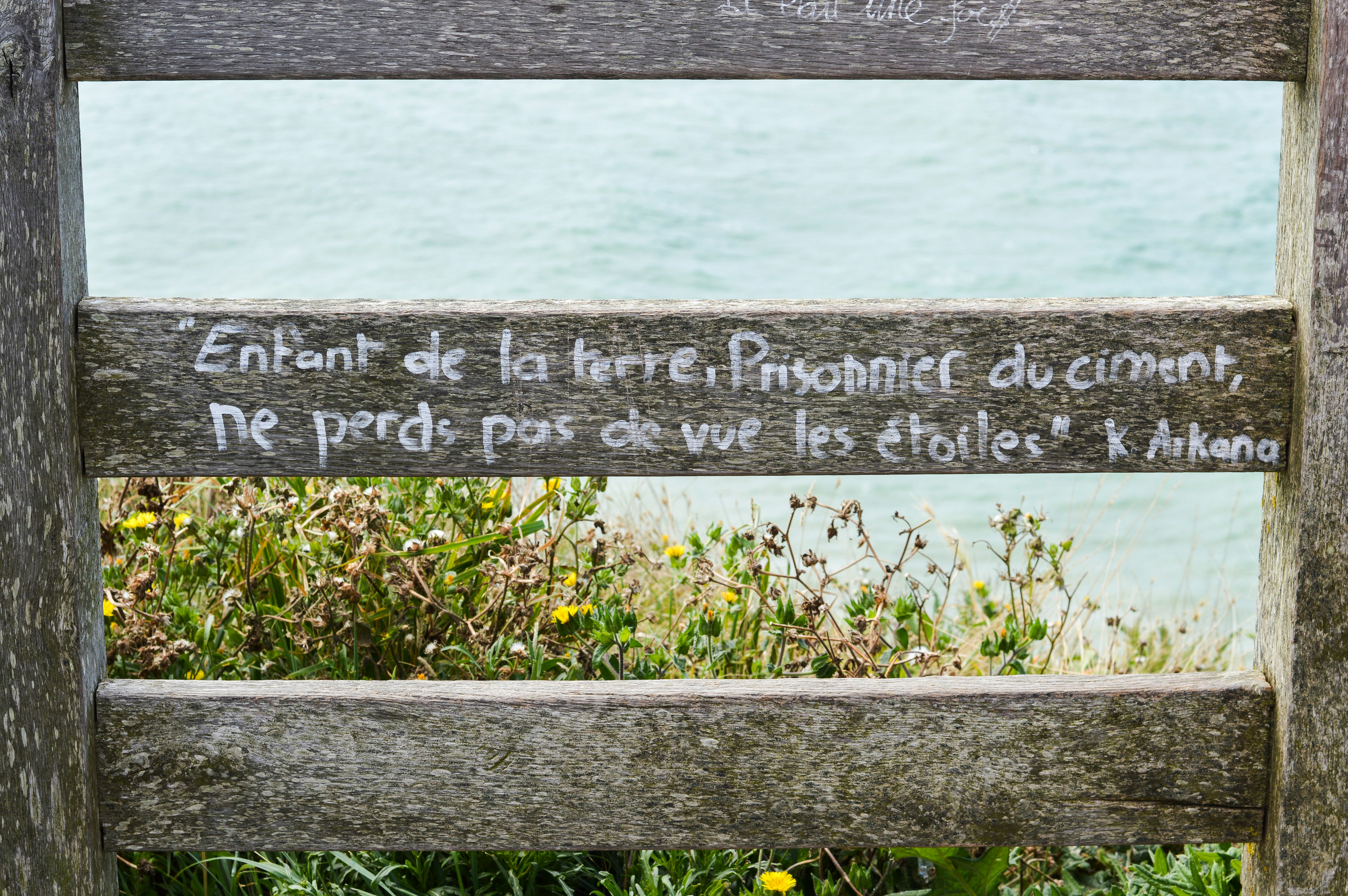 English to French Wishes: Emotional Birthday & Love Messages