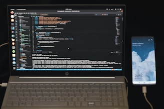 black and white hp laptop computer