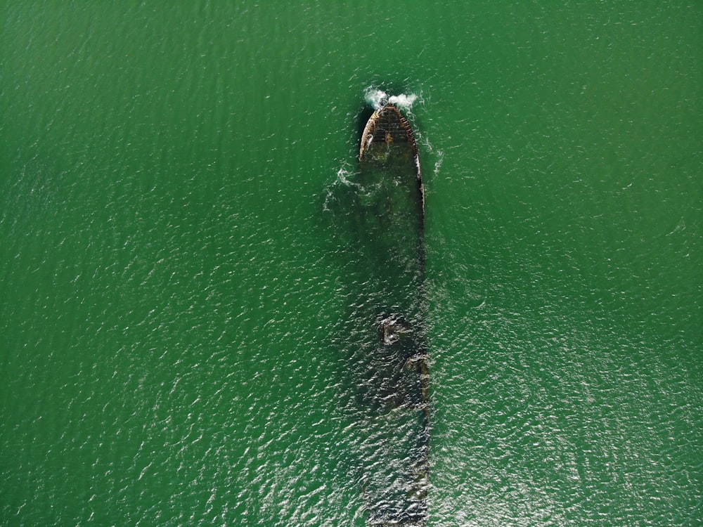 aerial view of boat on sea during daytime