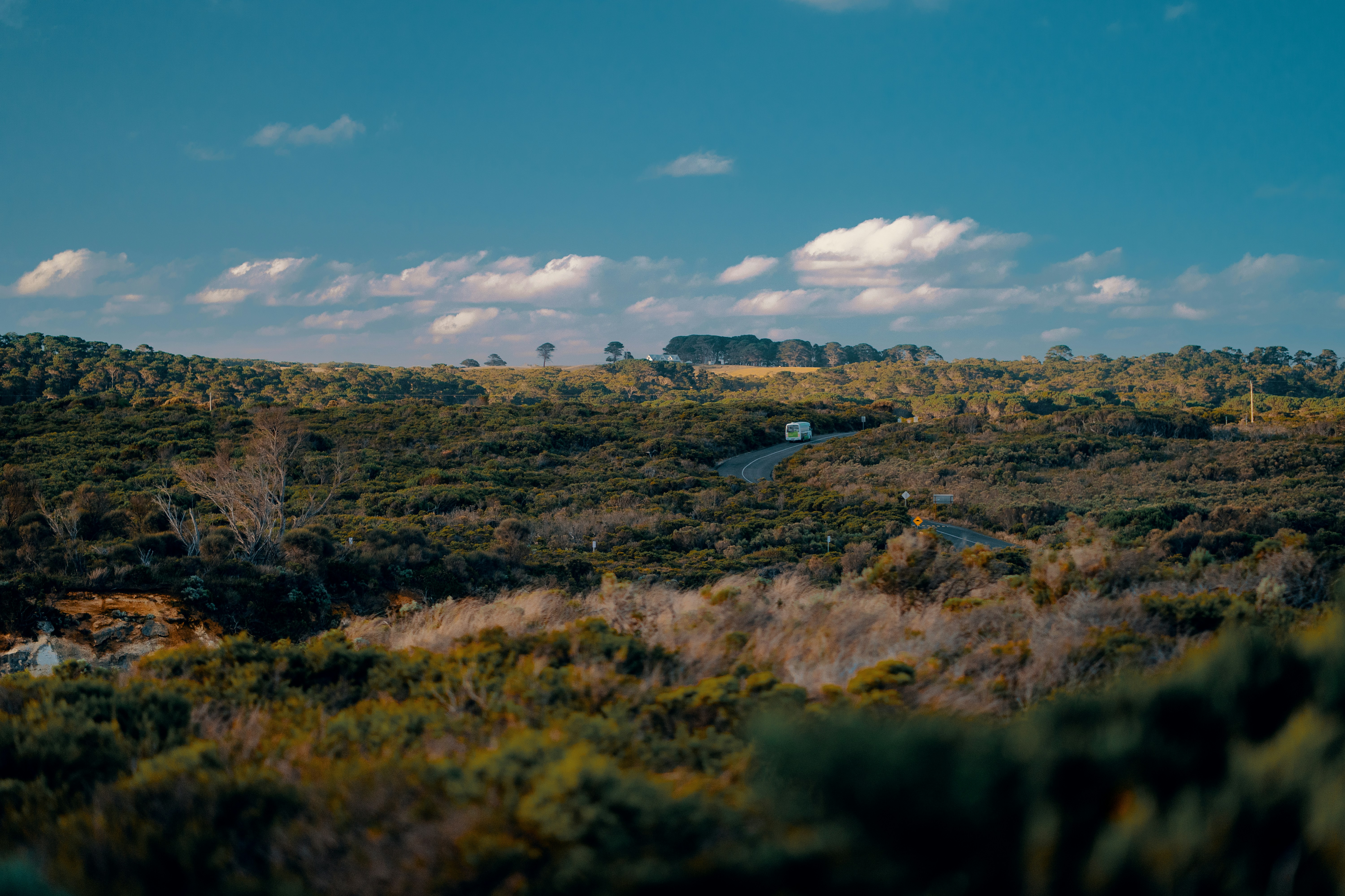 Photo by jensencaptures