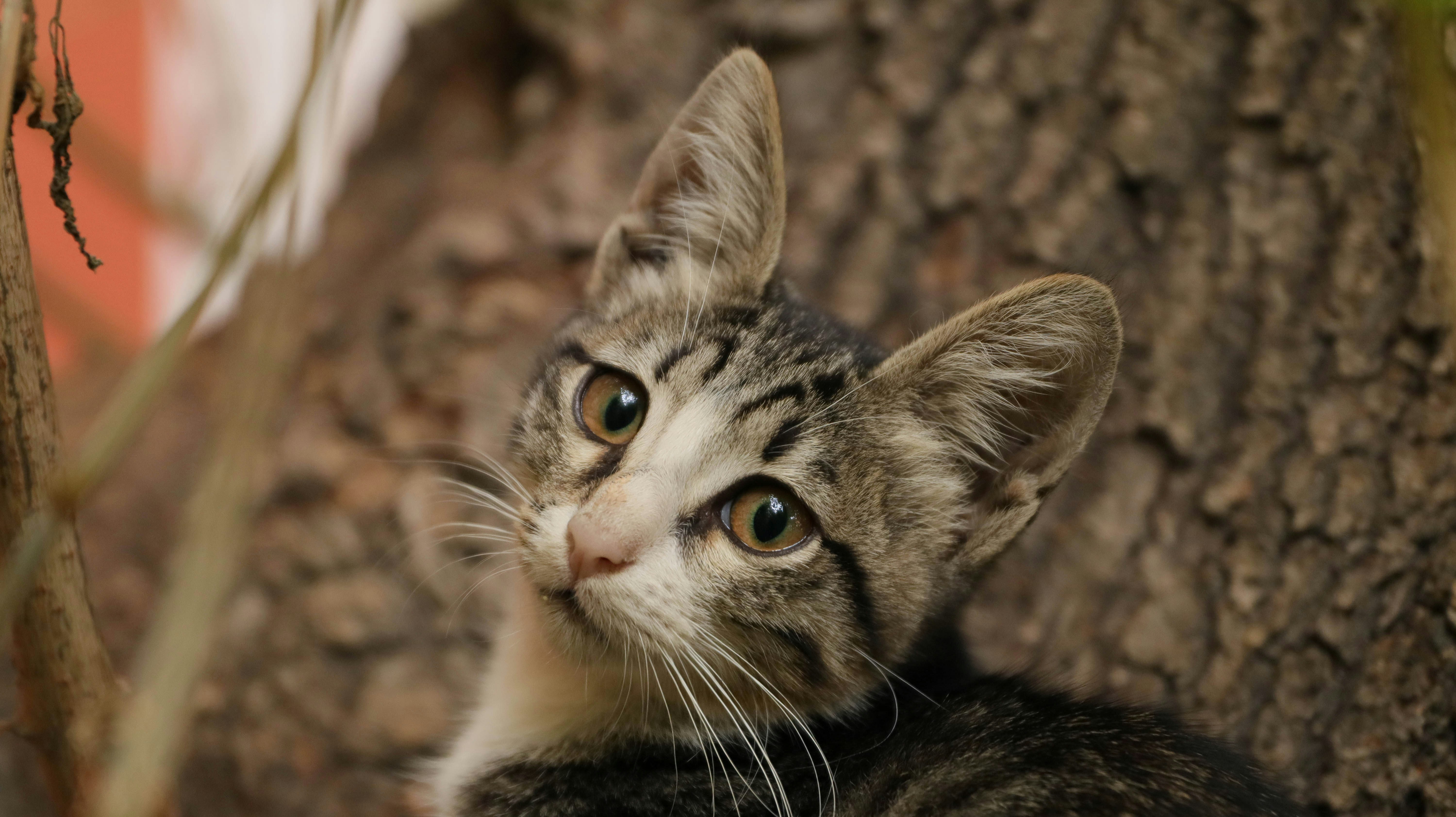 Photo by ignatkushanrev