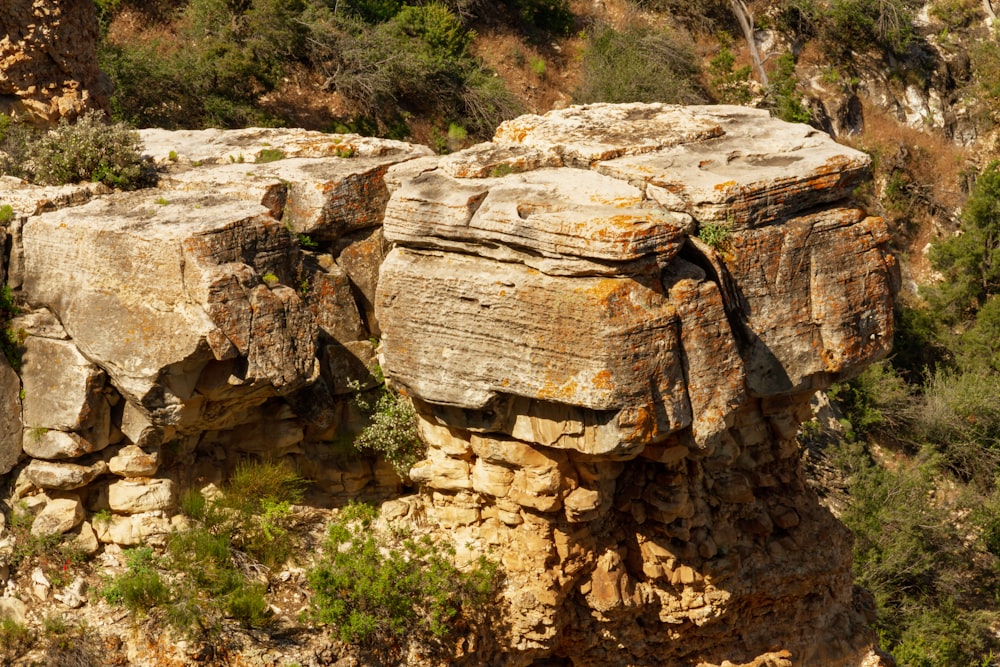 brown rock formation near green trees during daytime