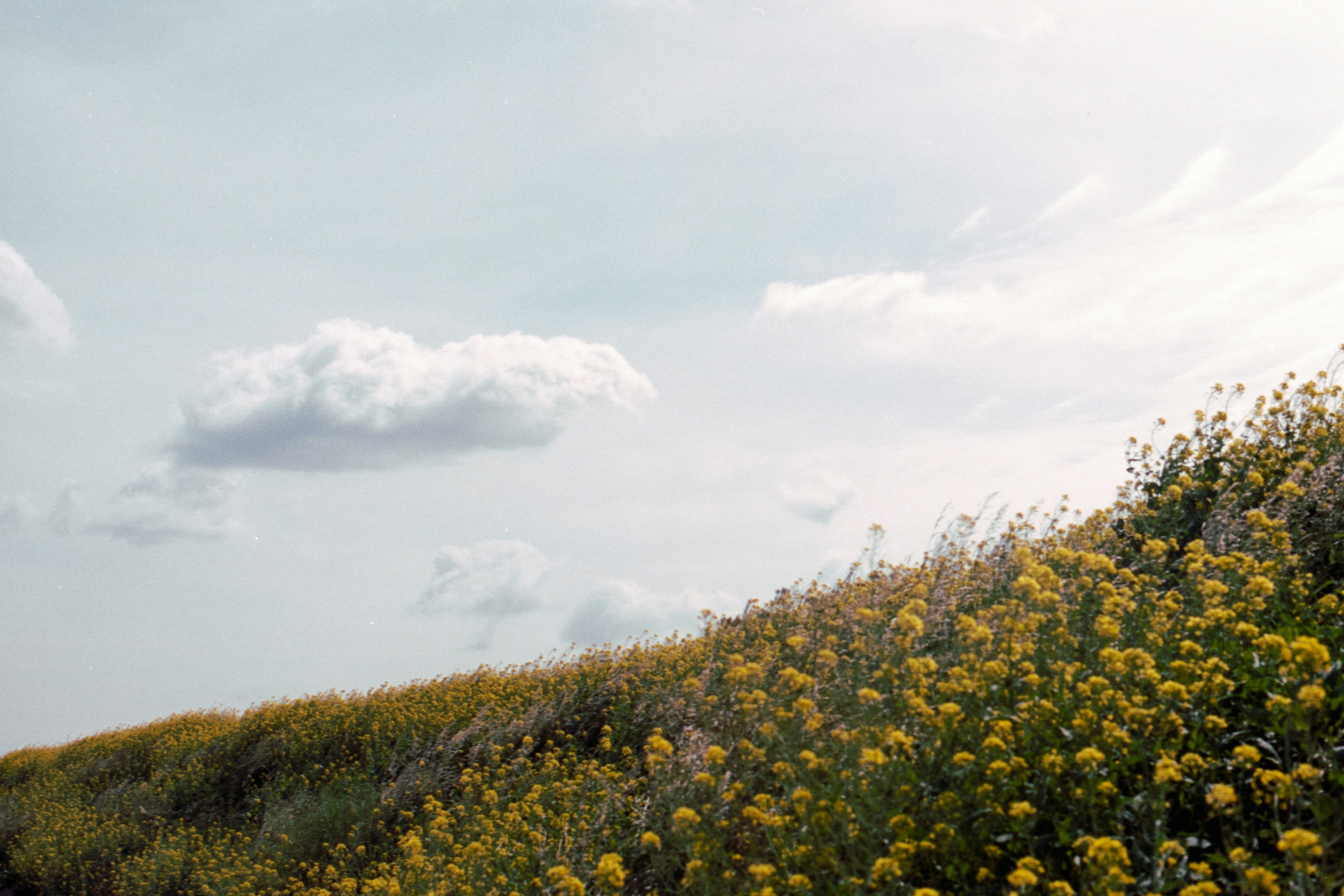 Photo by jeancarloemer