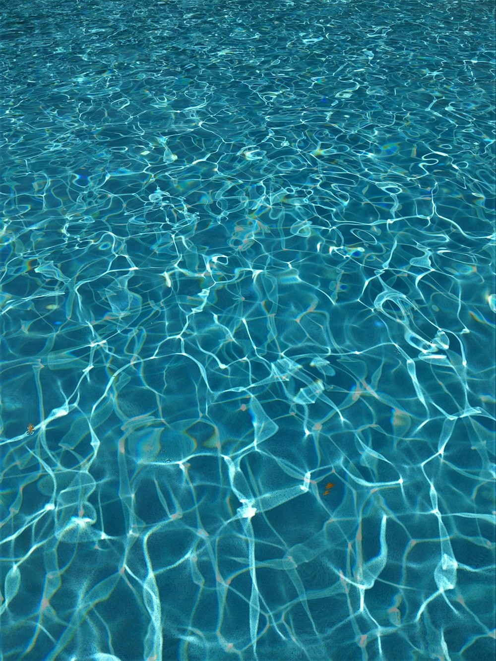 500+ Pool Water Pictures [HD] | Download Free Images on Unsplash