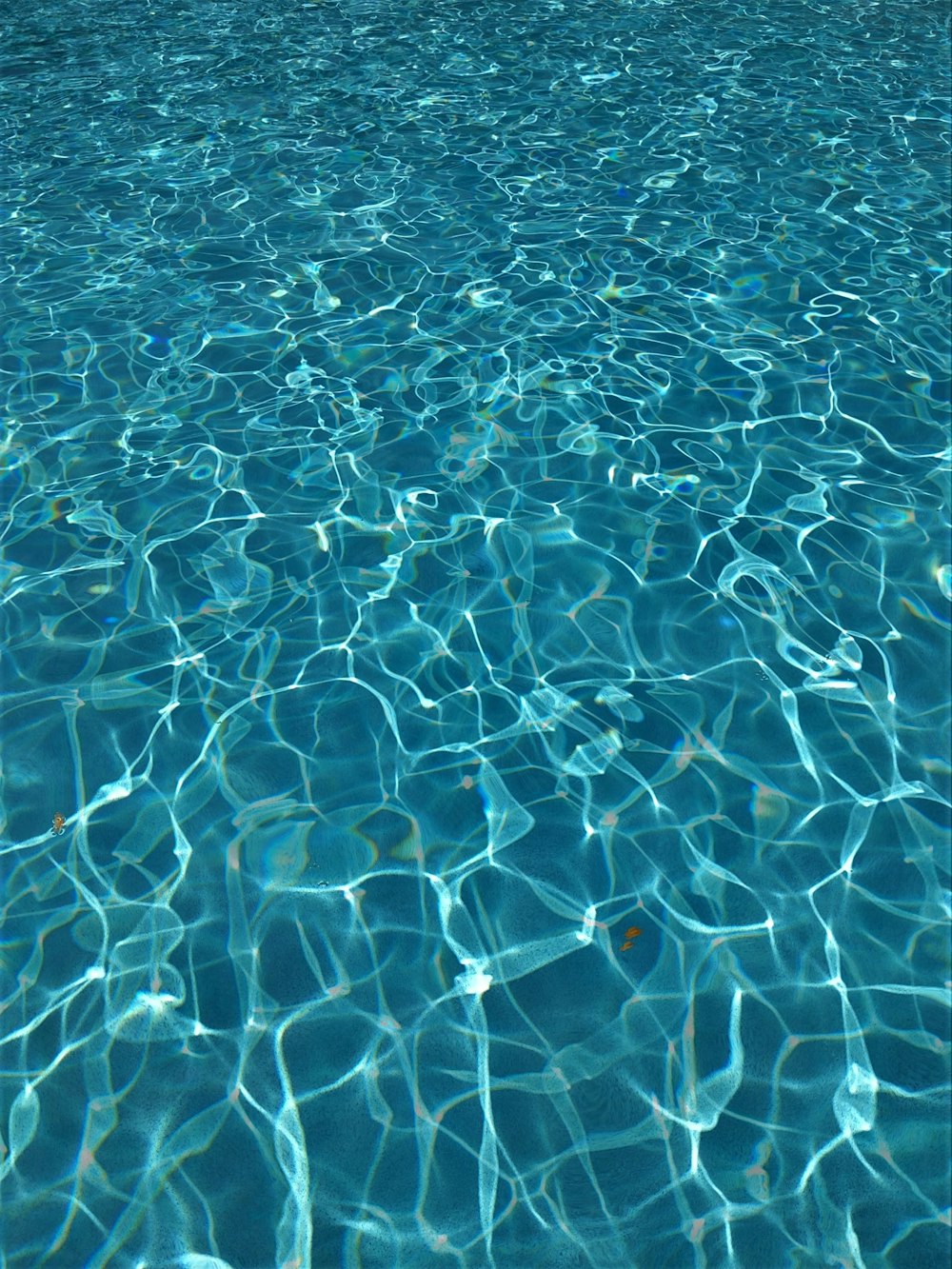 person swimming on the sea during daytime