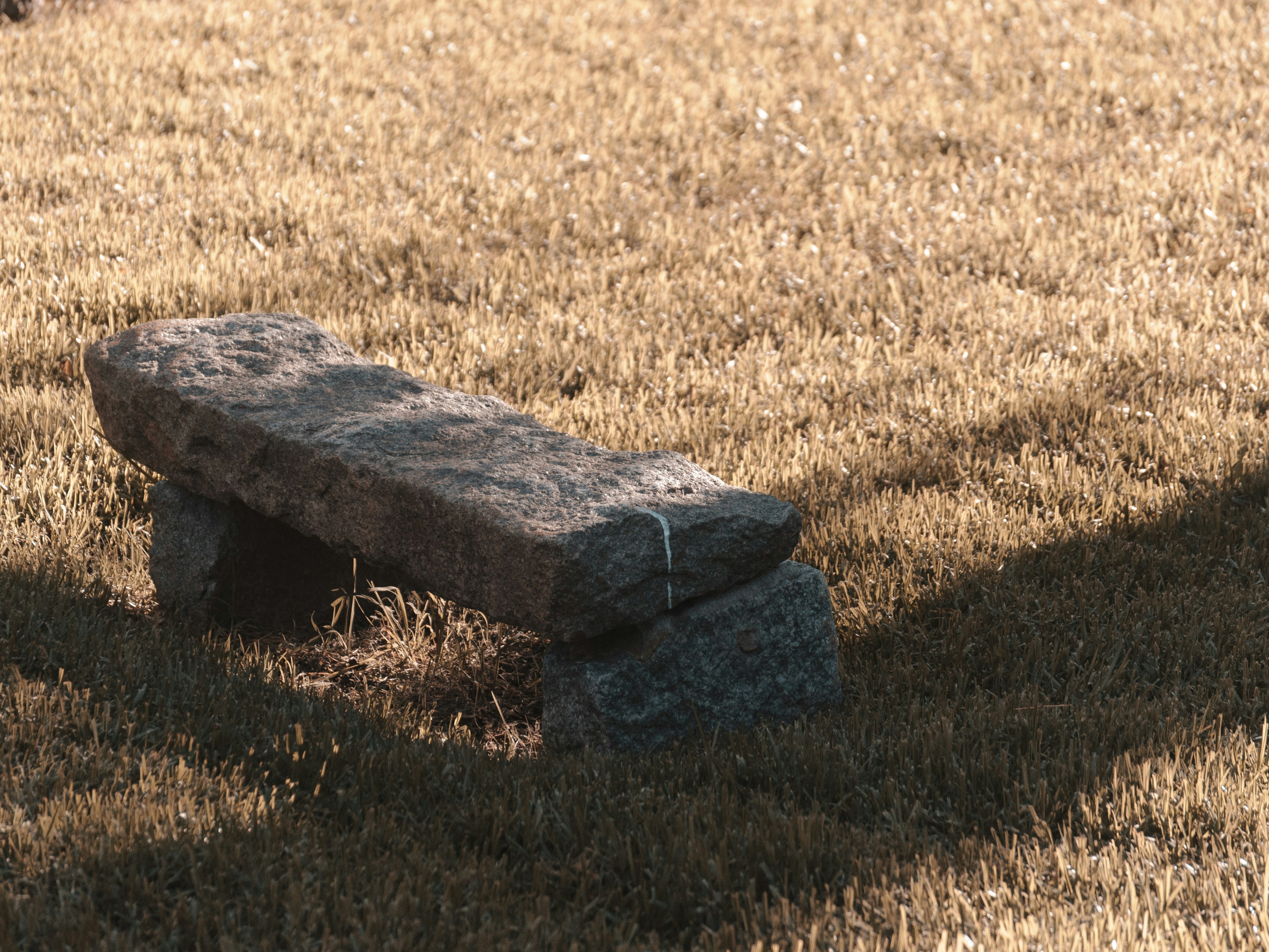 Brown wooden bench on brown grass field during daytime photo – Free ...