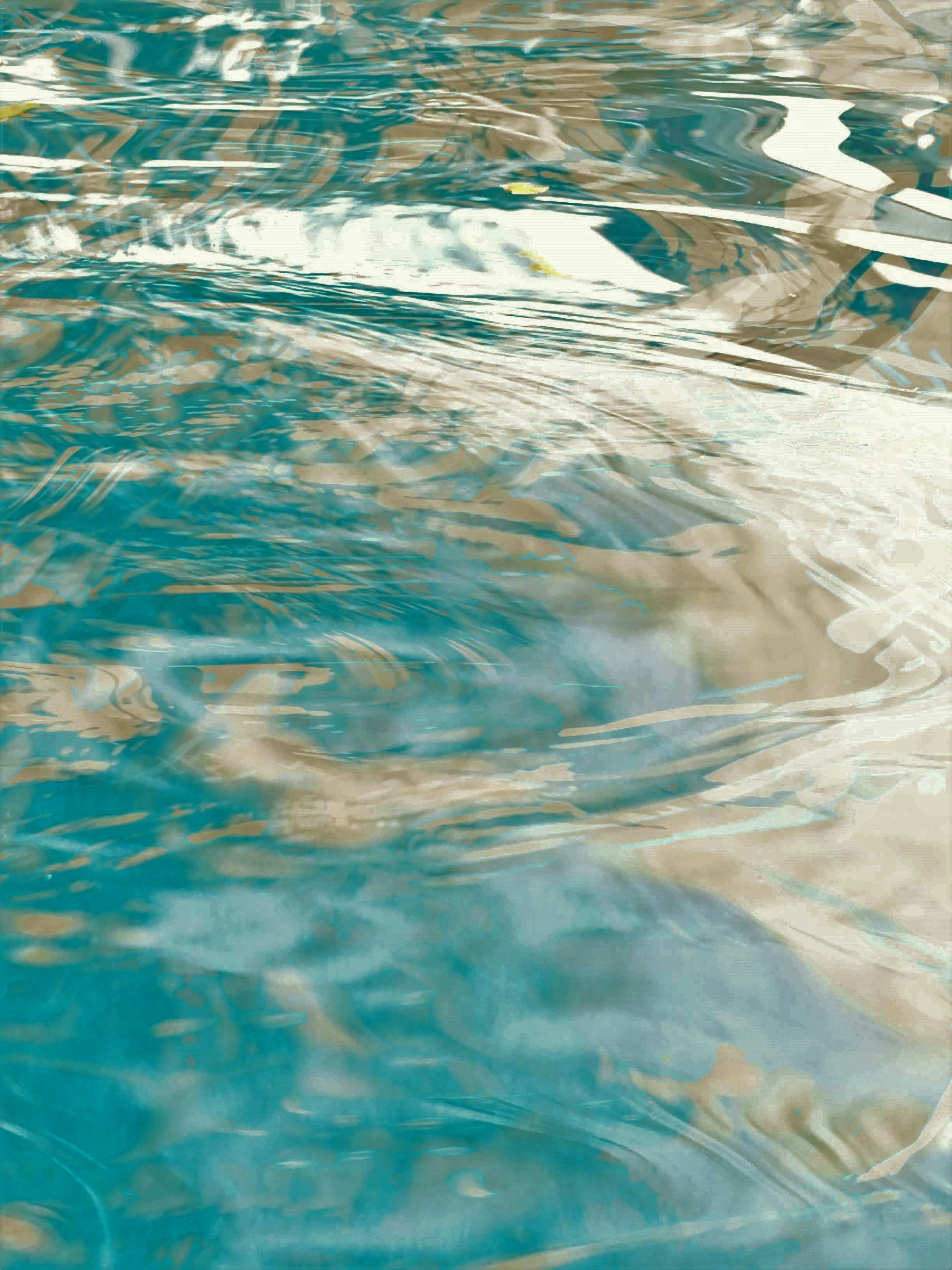 Photo by susan_wilkinson