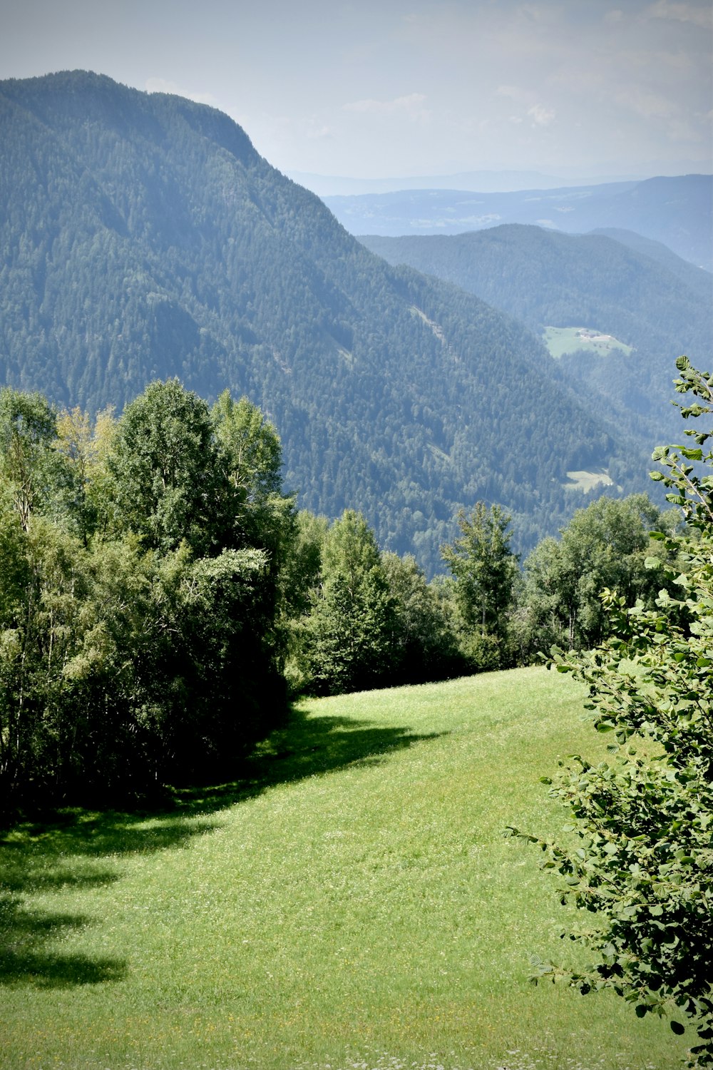 green trees on green grass field near mountain during daytime