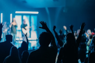 silhouette of people raising hands