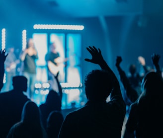 silhouette of people raising hands