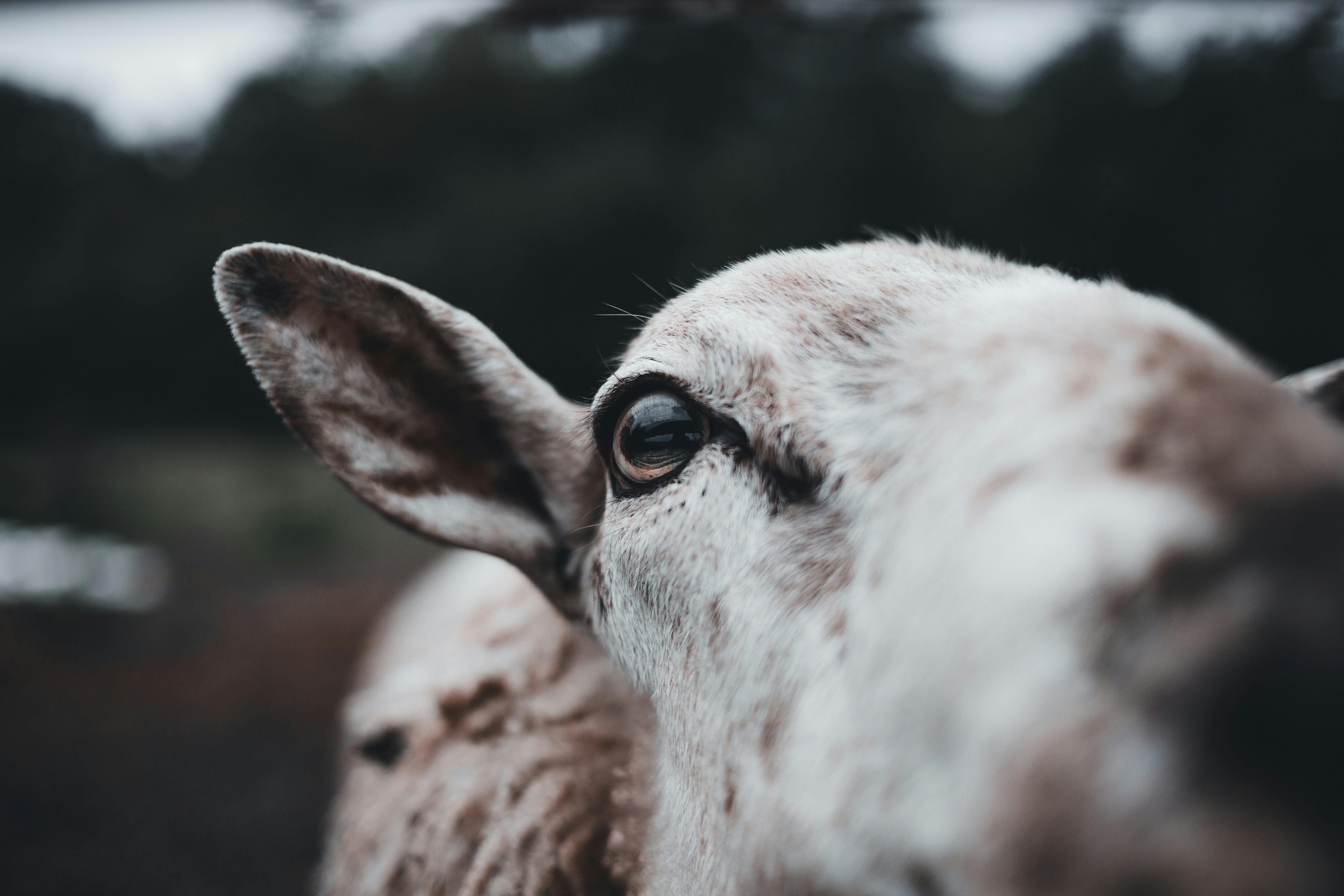 Photo by introspectivedsgn