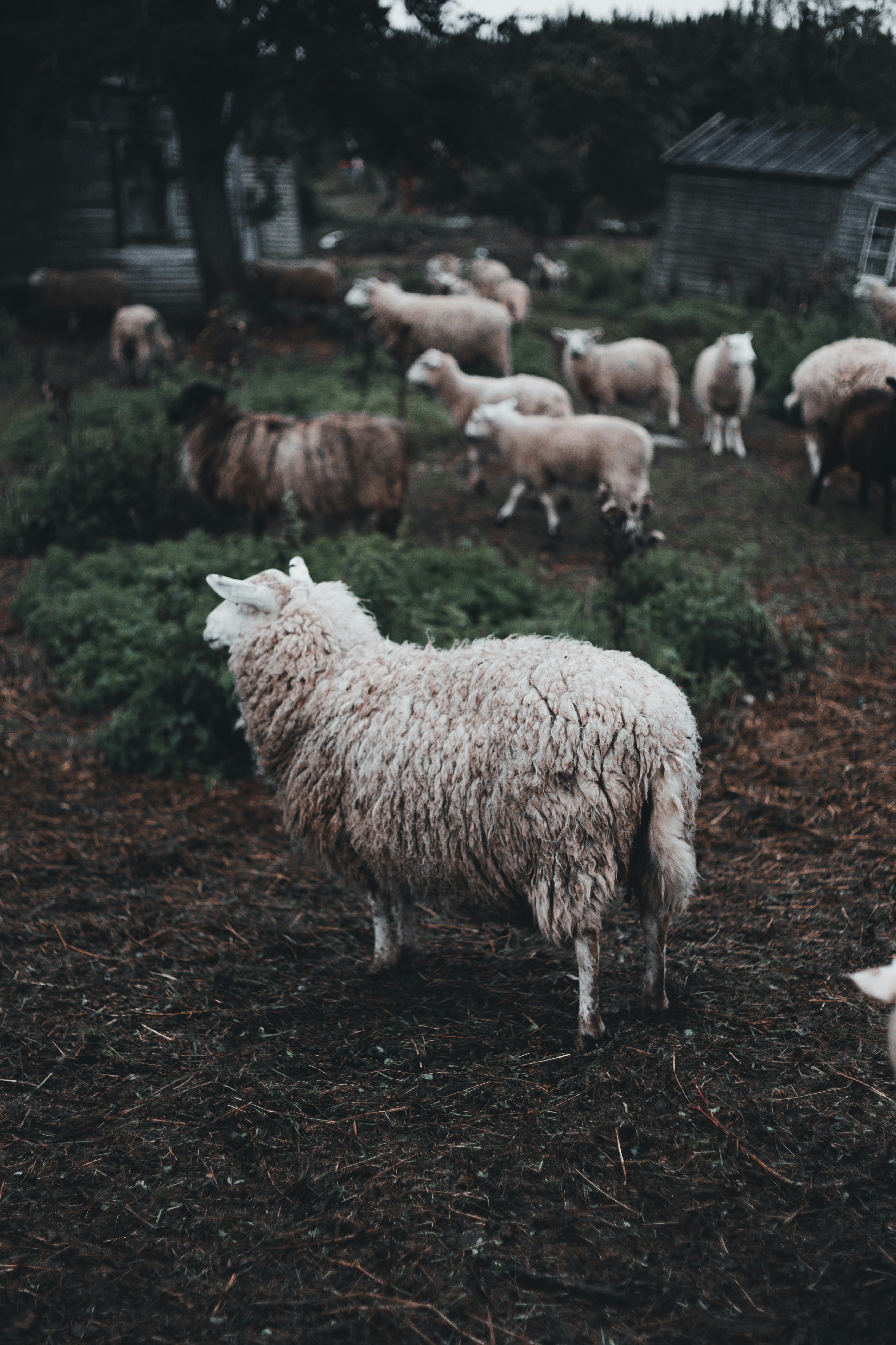 Photo by introspectivedsgn