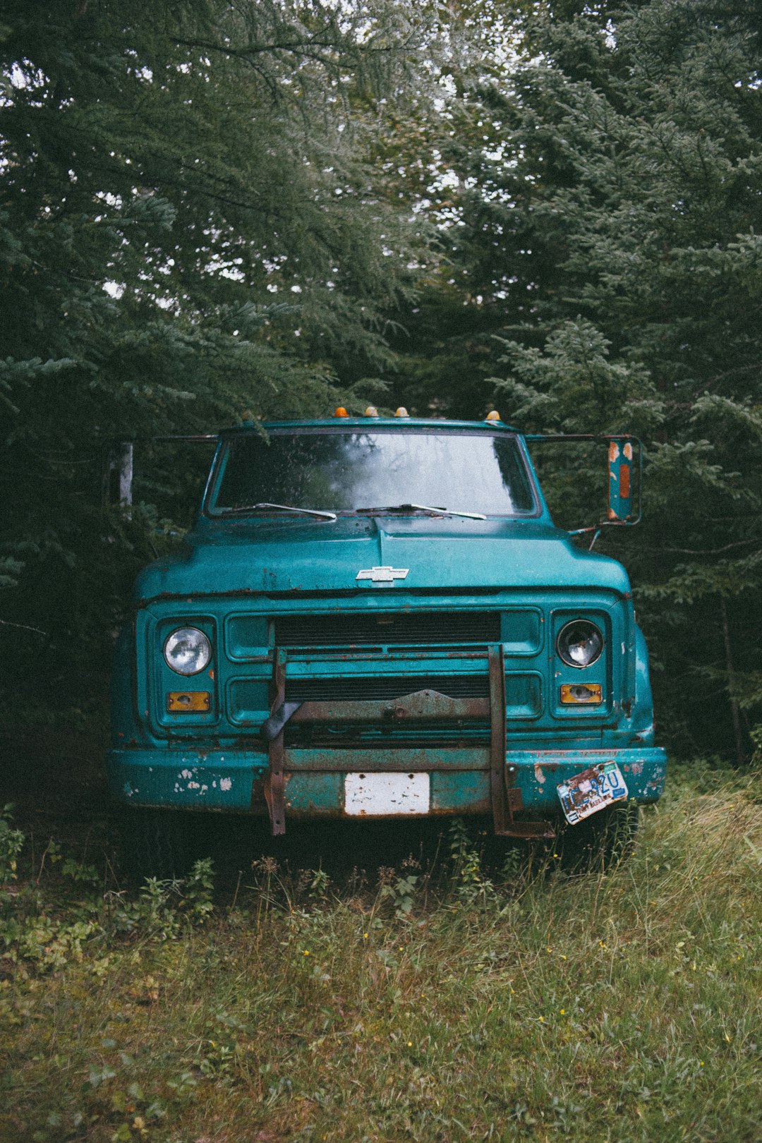 blue car parked on green grass field during daytime