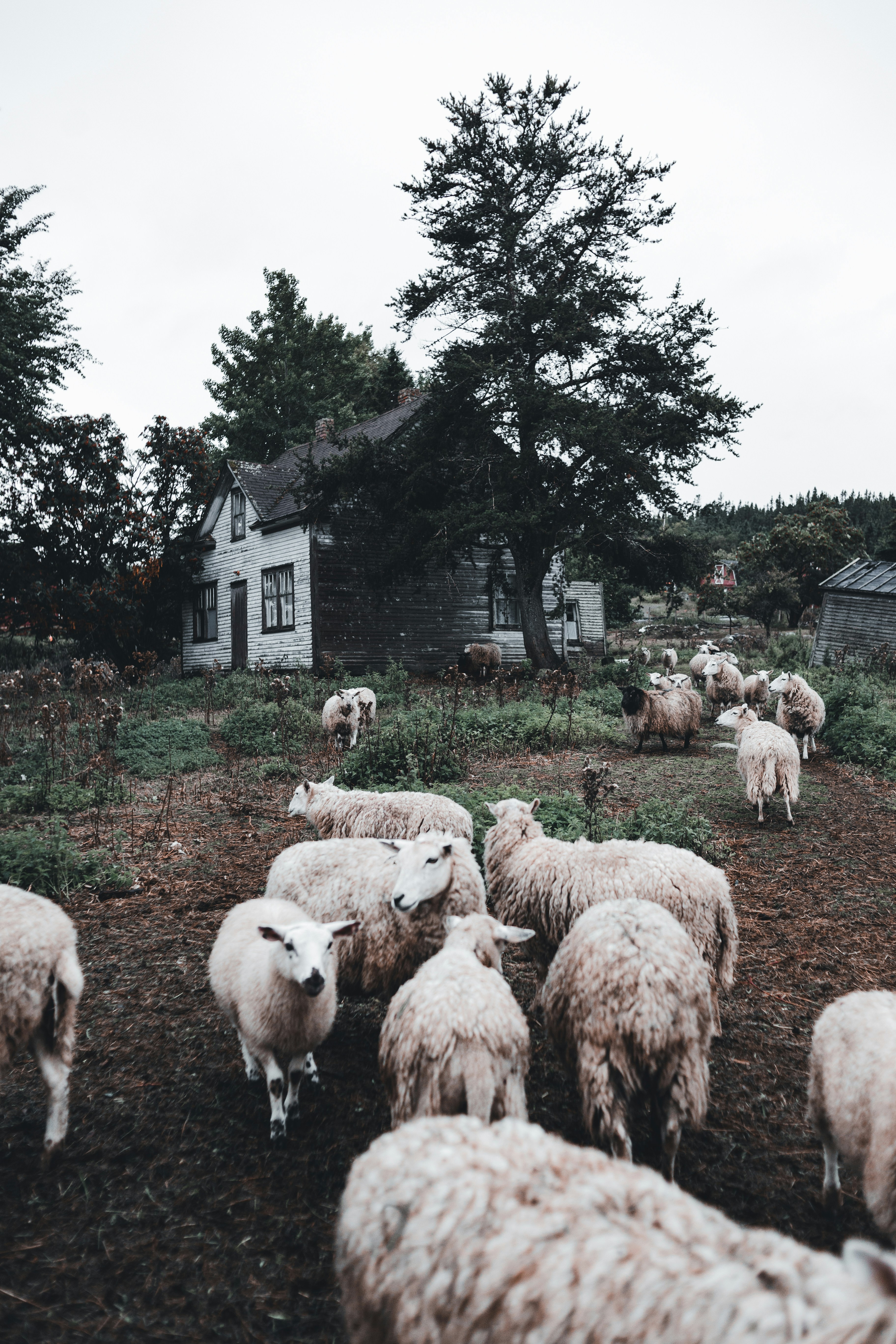 Photo by introspectivedsgn