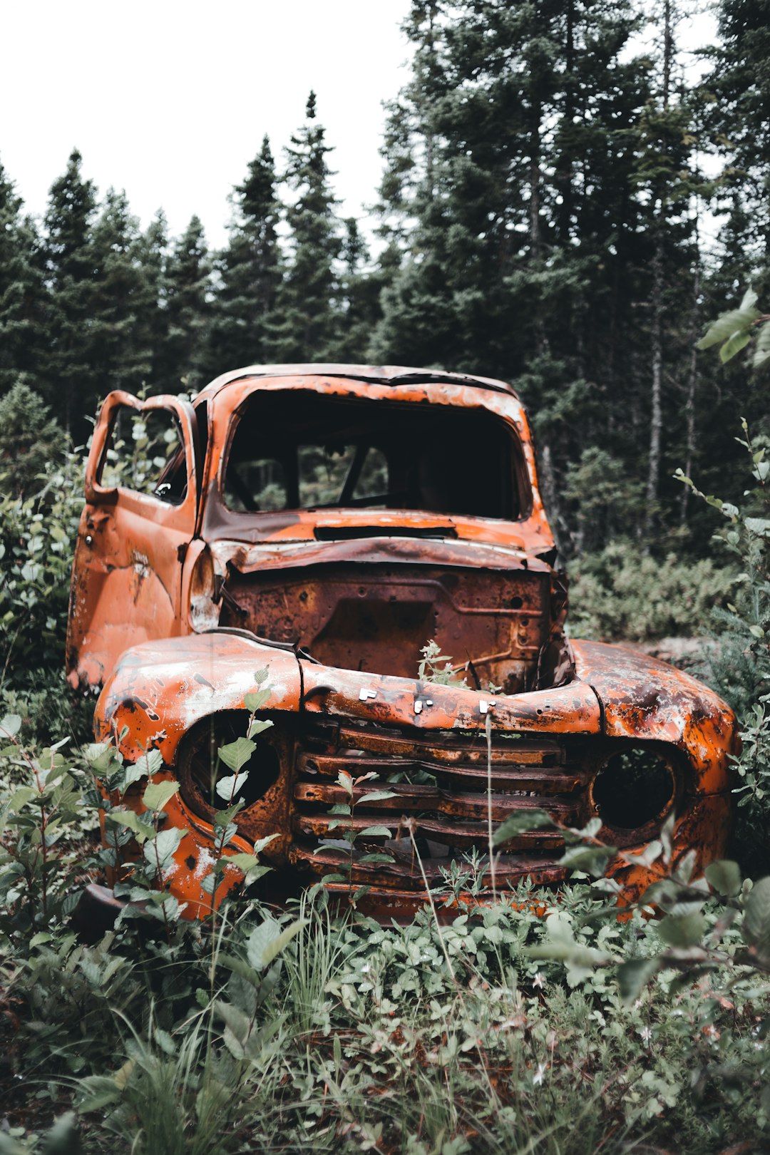 brown and white vintage car on green grass field during daytime