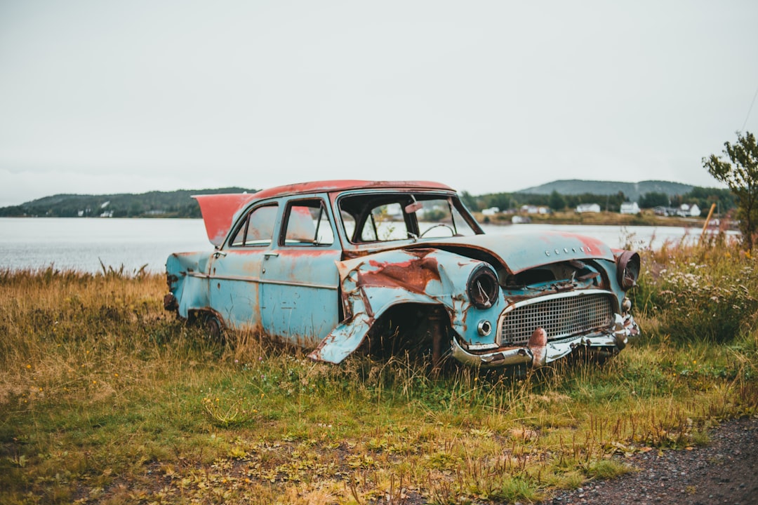 blue and white vintage car on green grass field during daytime