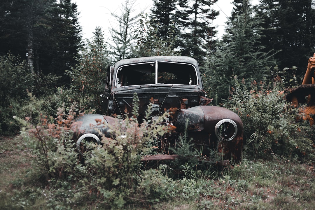 vintage brown car on green grass field during daytime