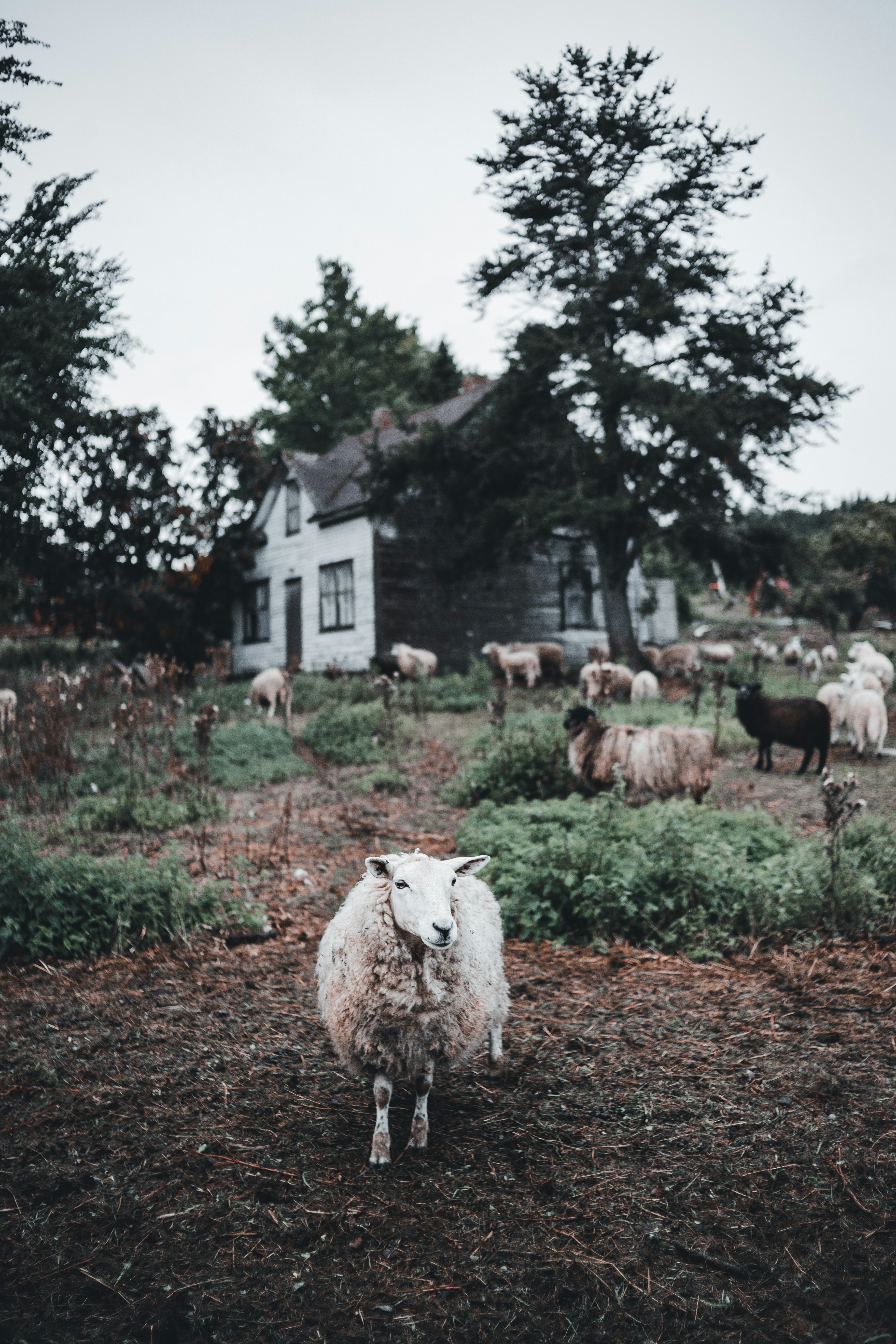 Photo by introspectivedsgn