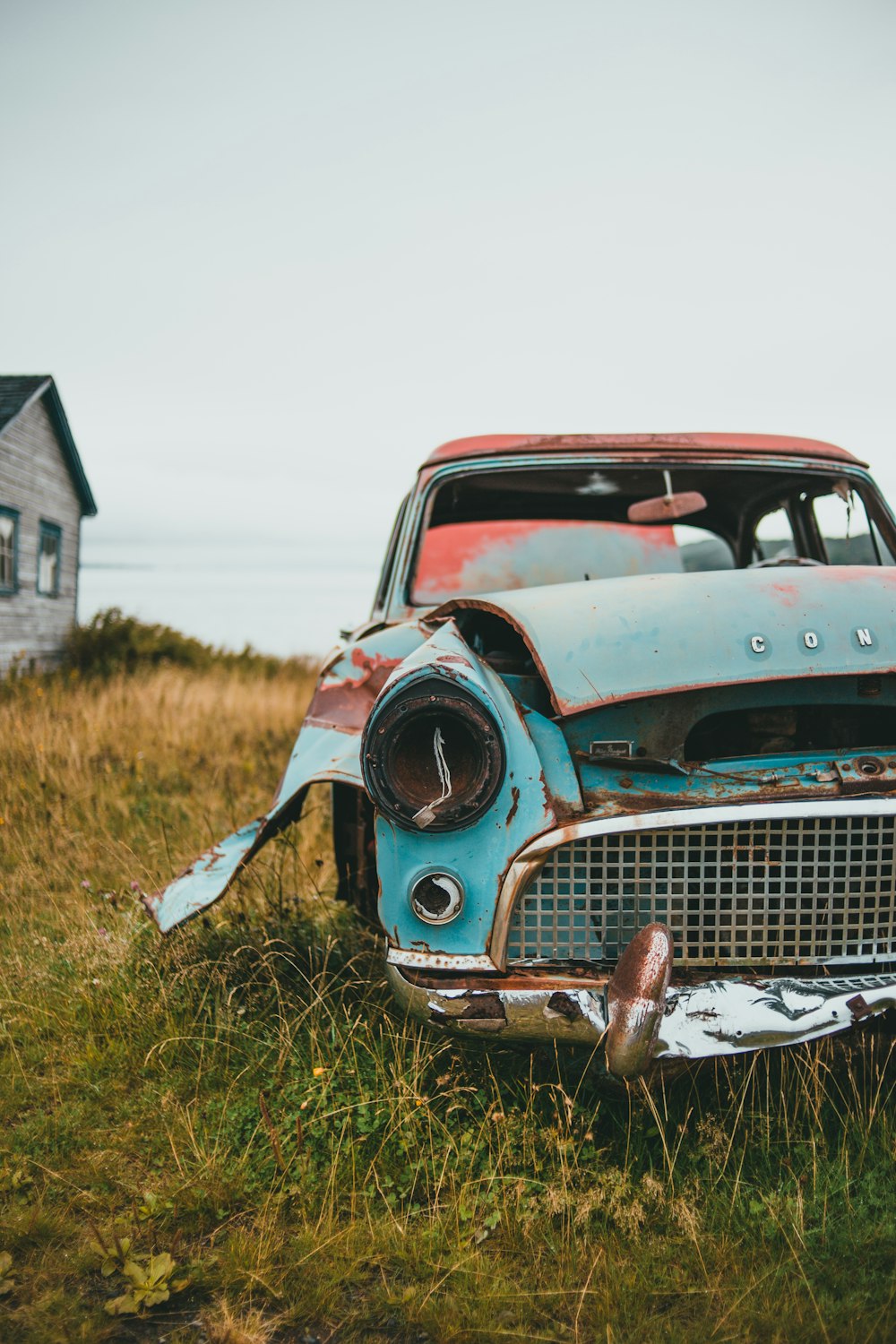 blue classic car on green grass field during daytime