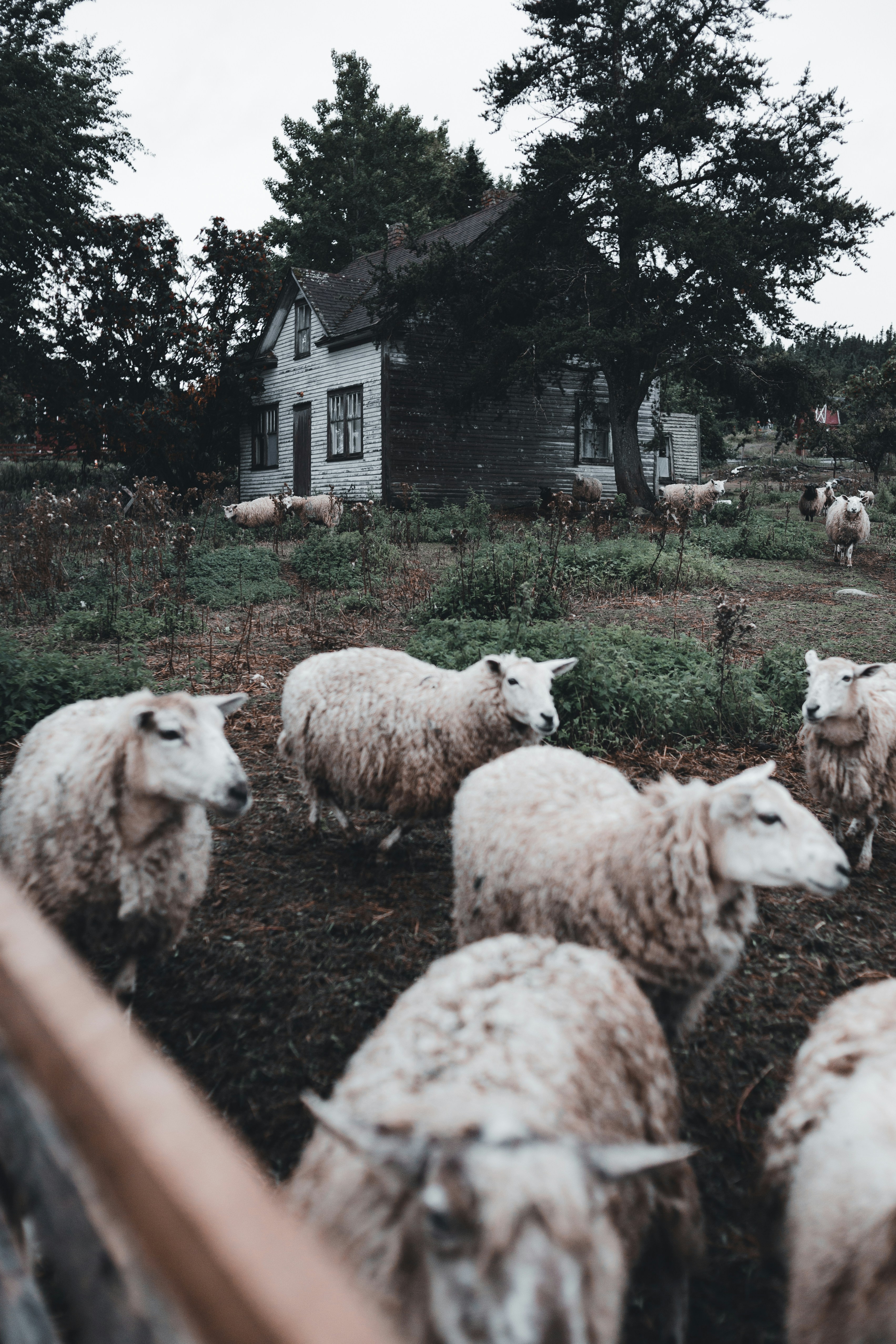 Photo by introspectivedsgn