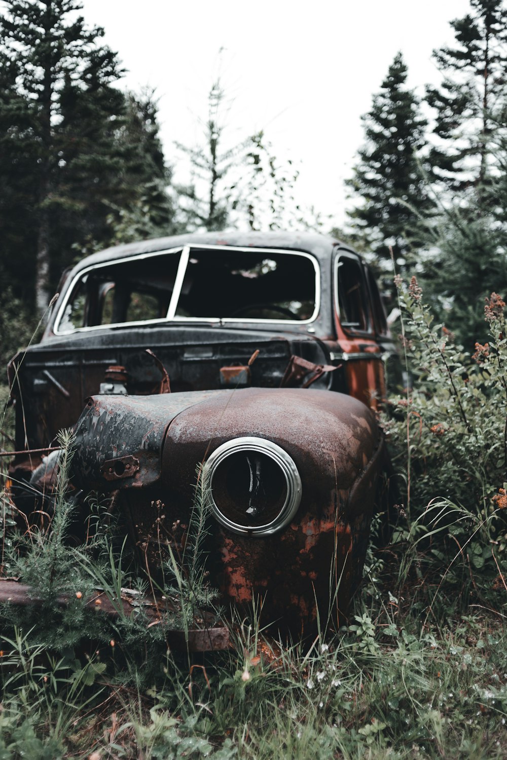 brown volkswagen beetle on green grass during daytime