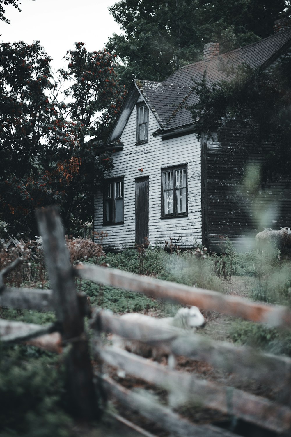 white and black wooden house near green trees during daytime