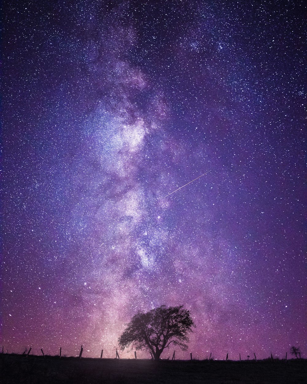 starry night sky over the starry night