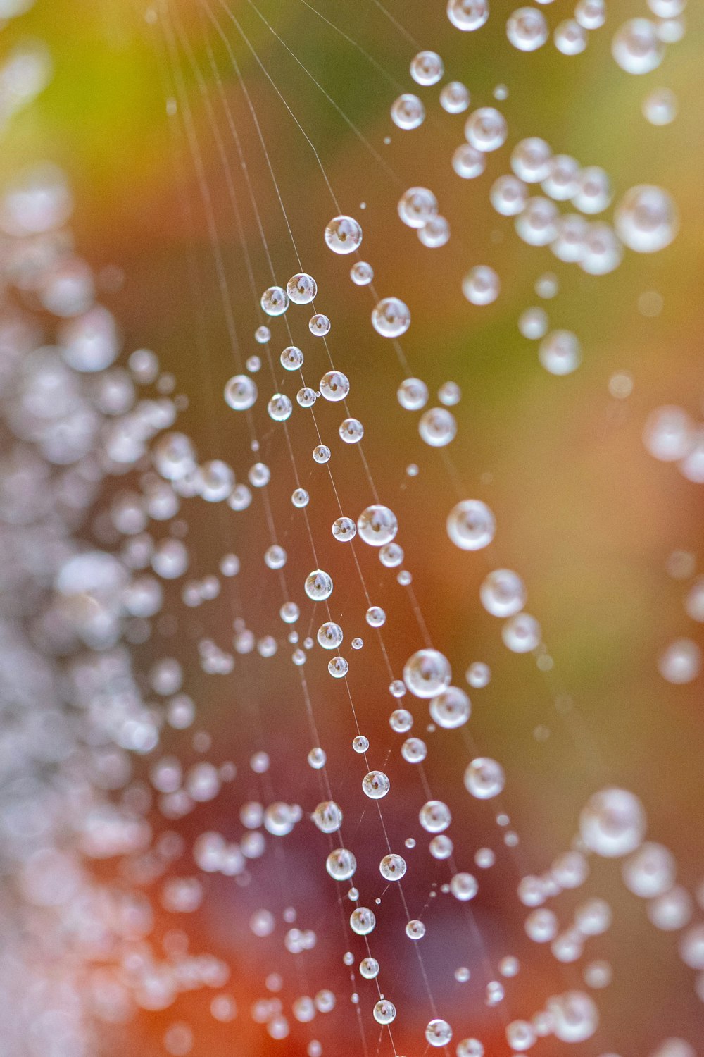 water droplets on glass during daytime