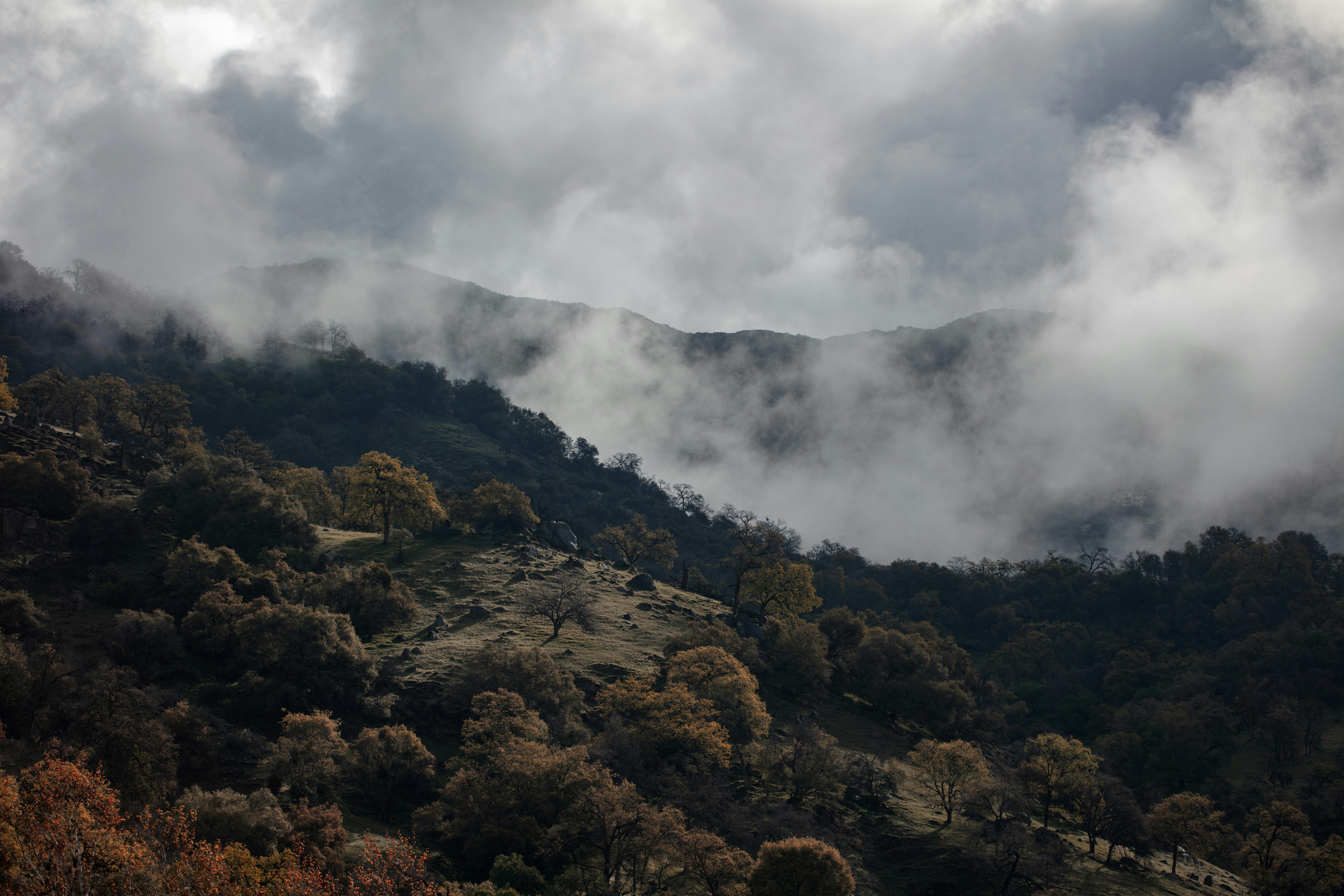 Brauner und grüner Berg unter weißen Wolken