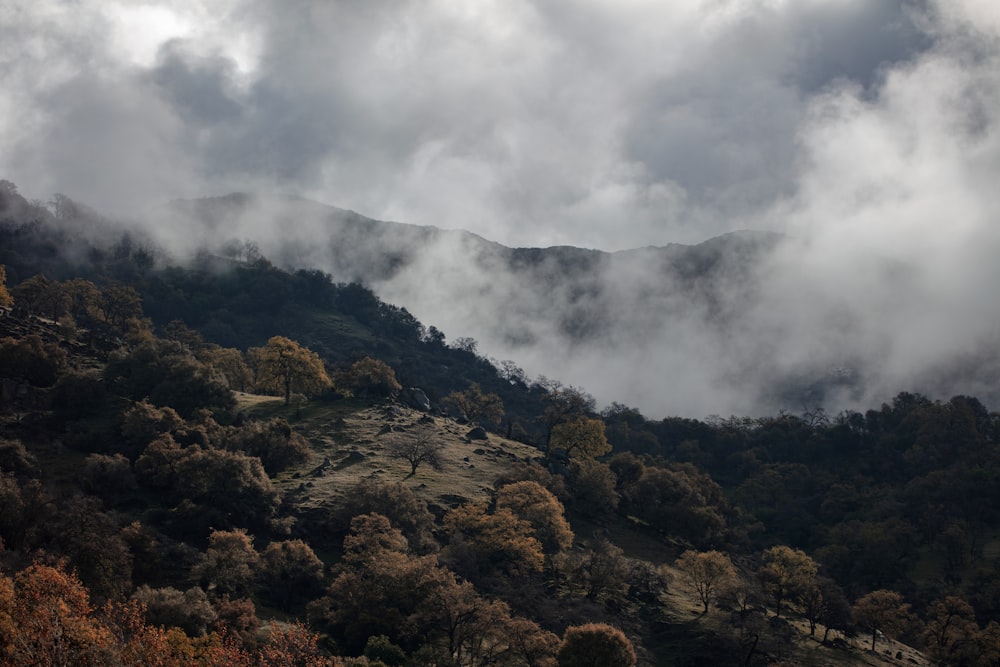 brown and green mountain under white clouds