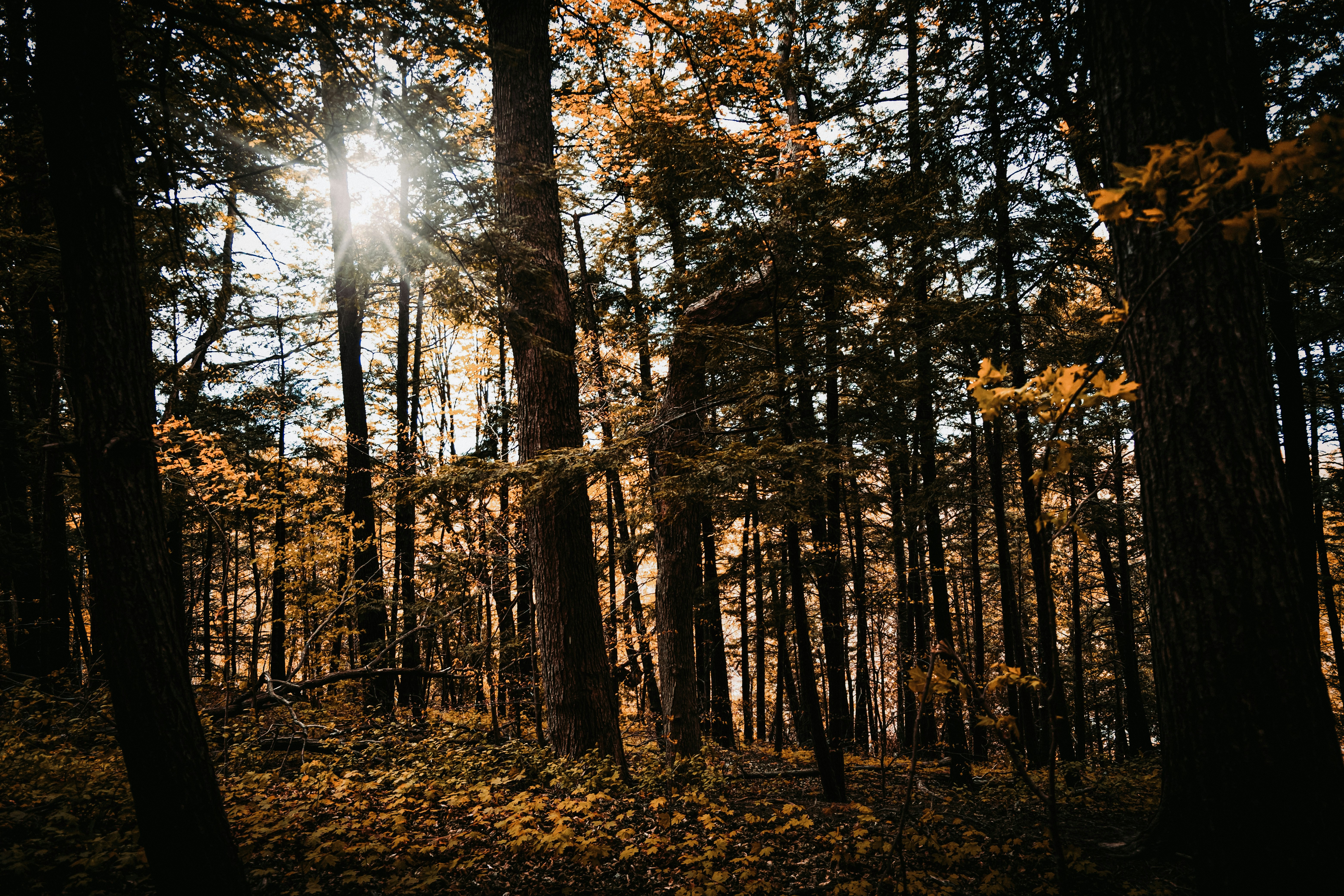 Photo by creativebycatalfo