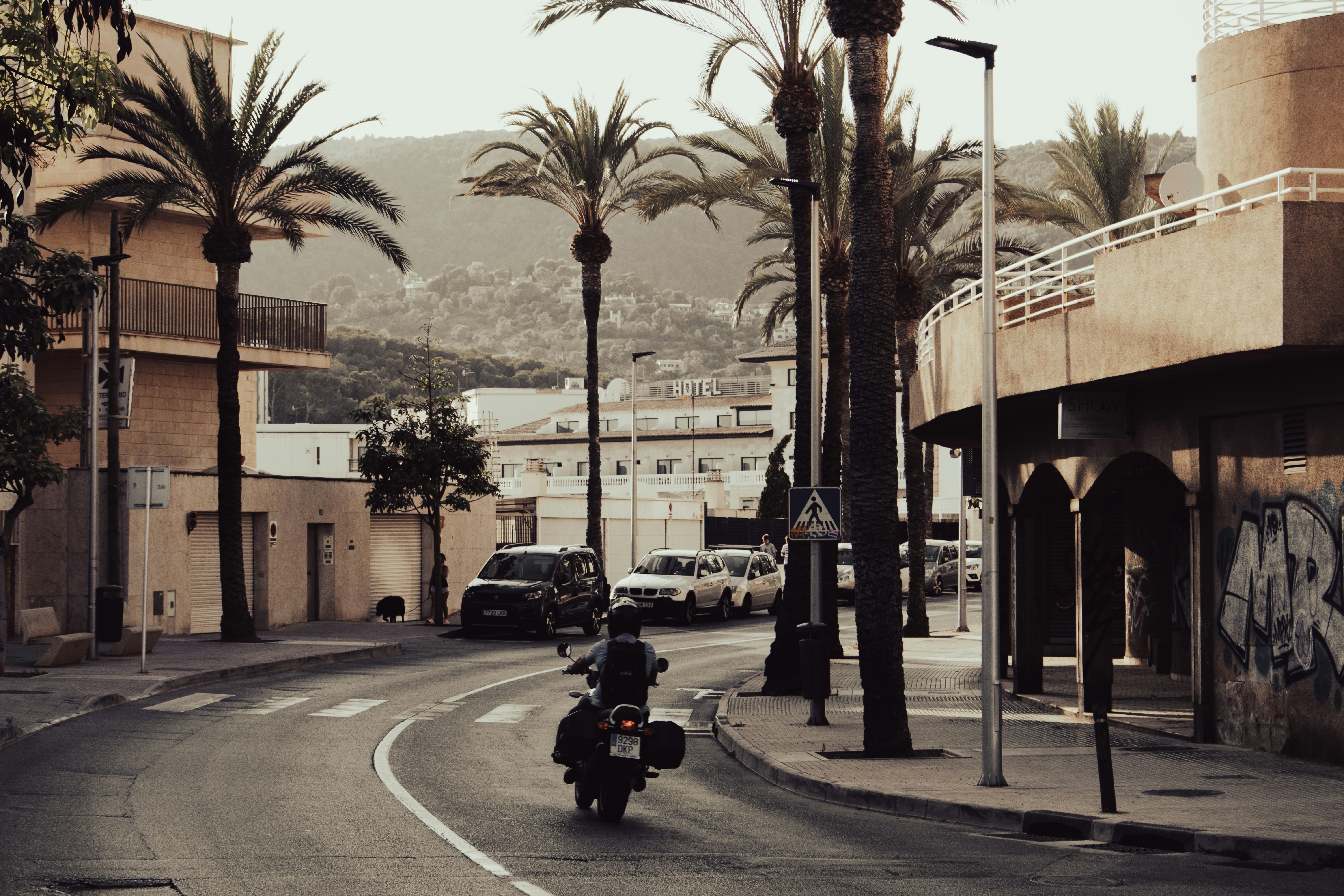 Cinematic photo of a motorcycle riding down a road