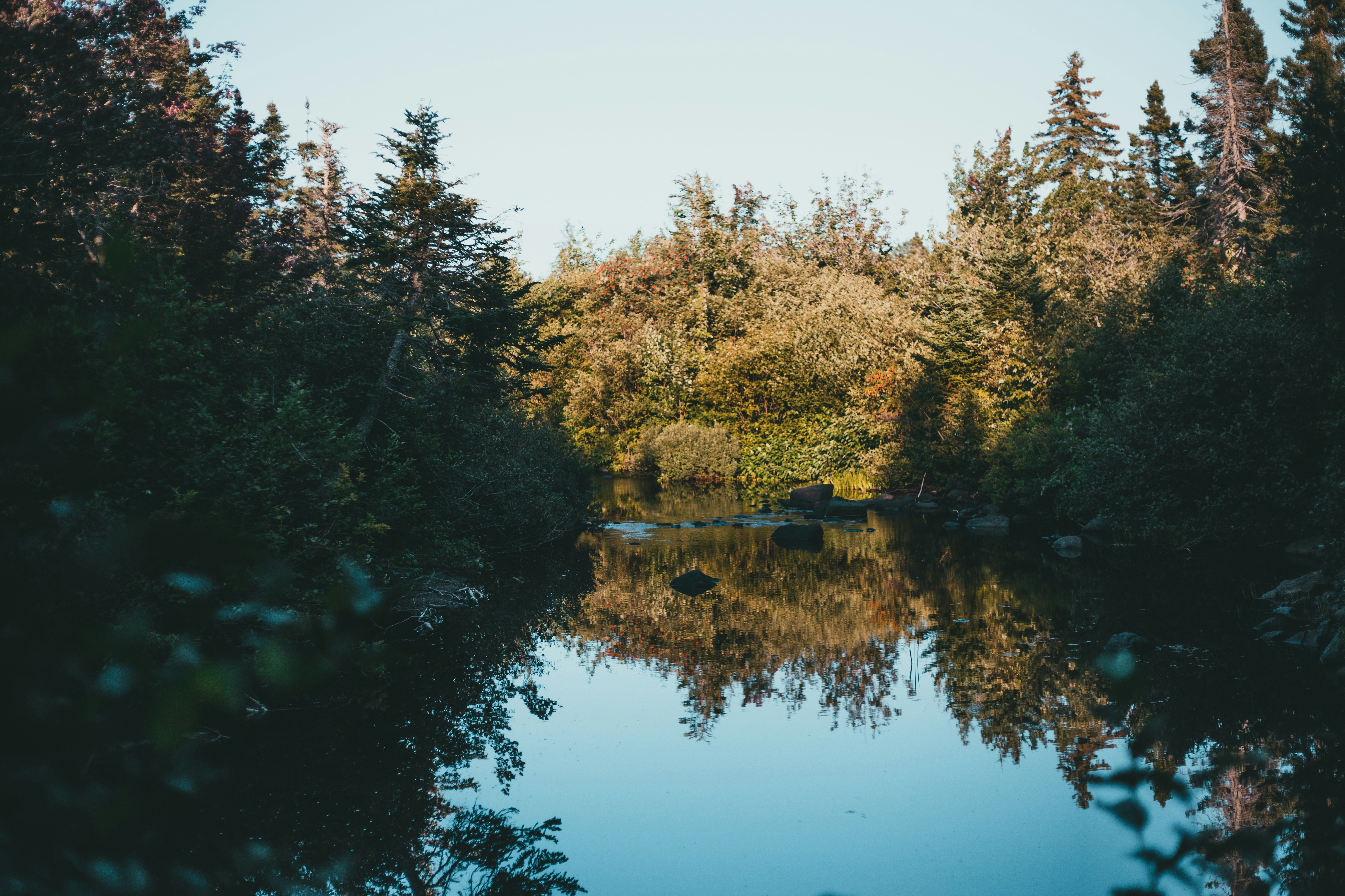 Photo by introspectivedsgn