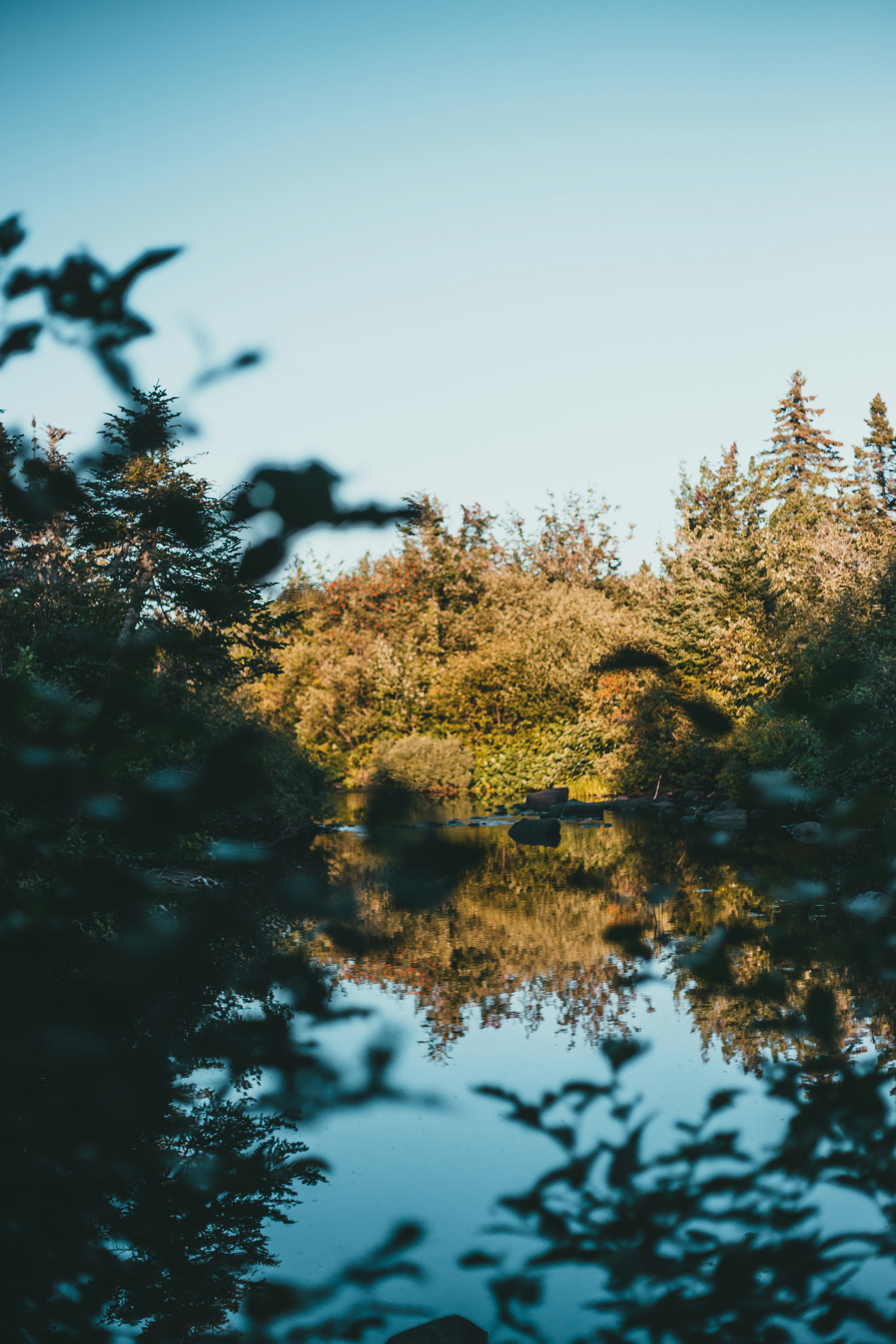 Photo by introspectivedsgn