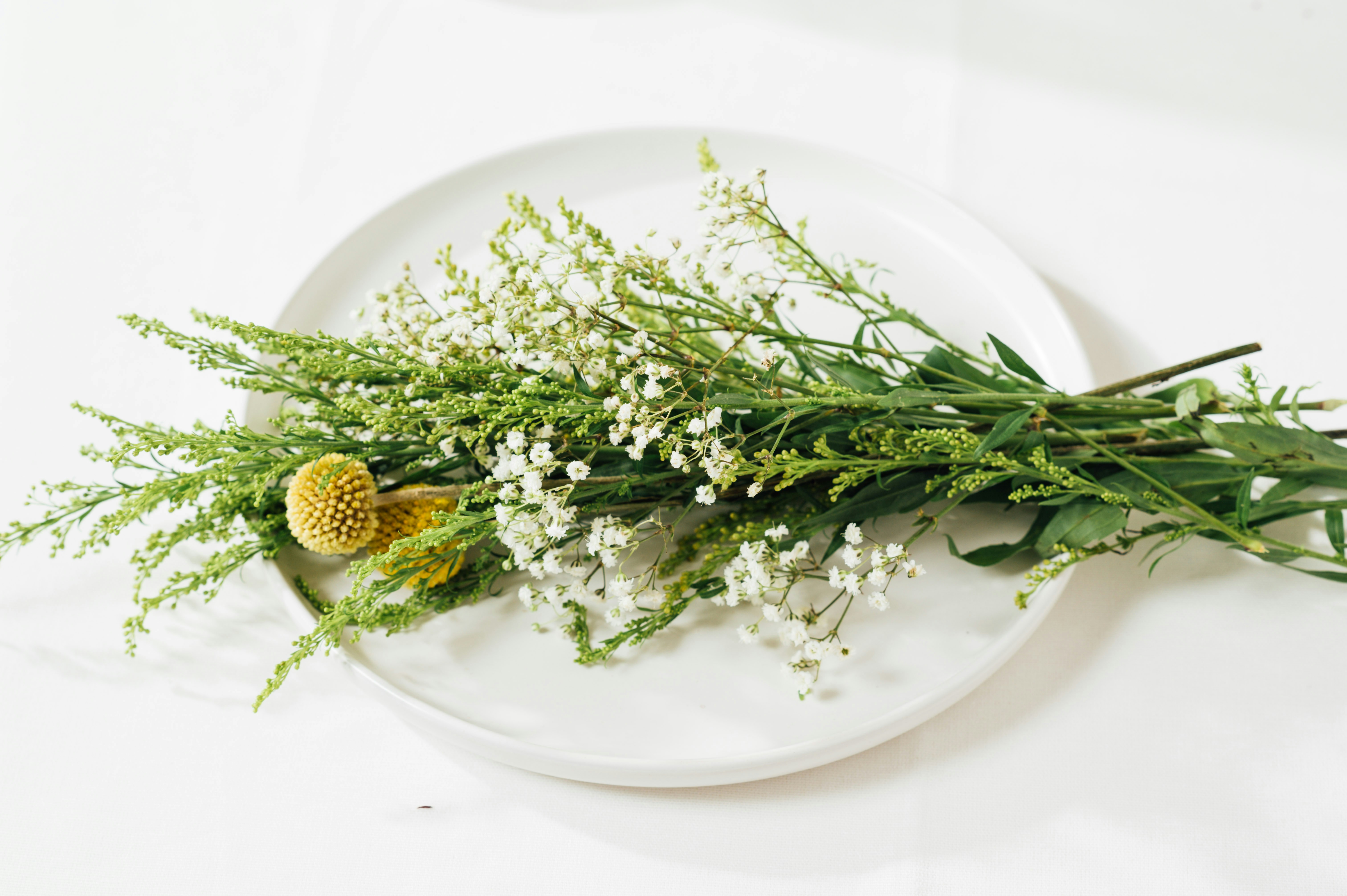 Photo by chuttersnap