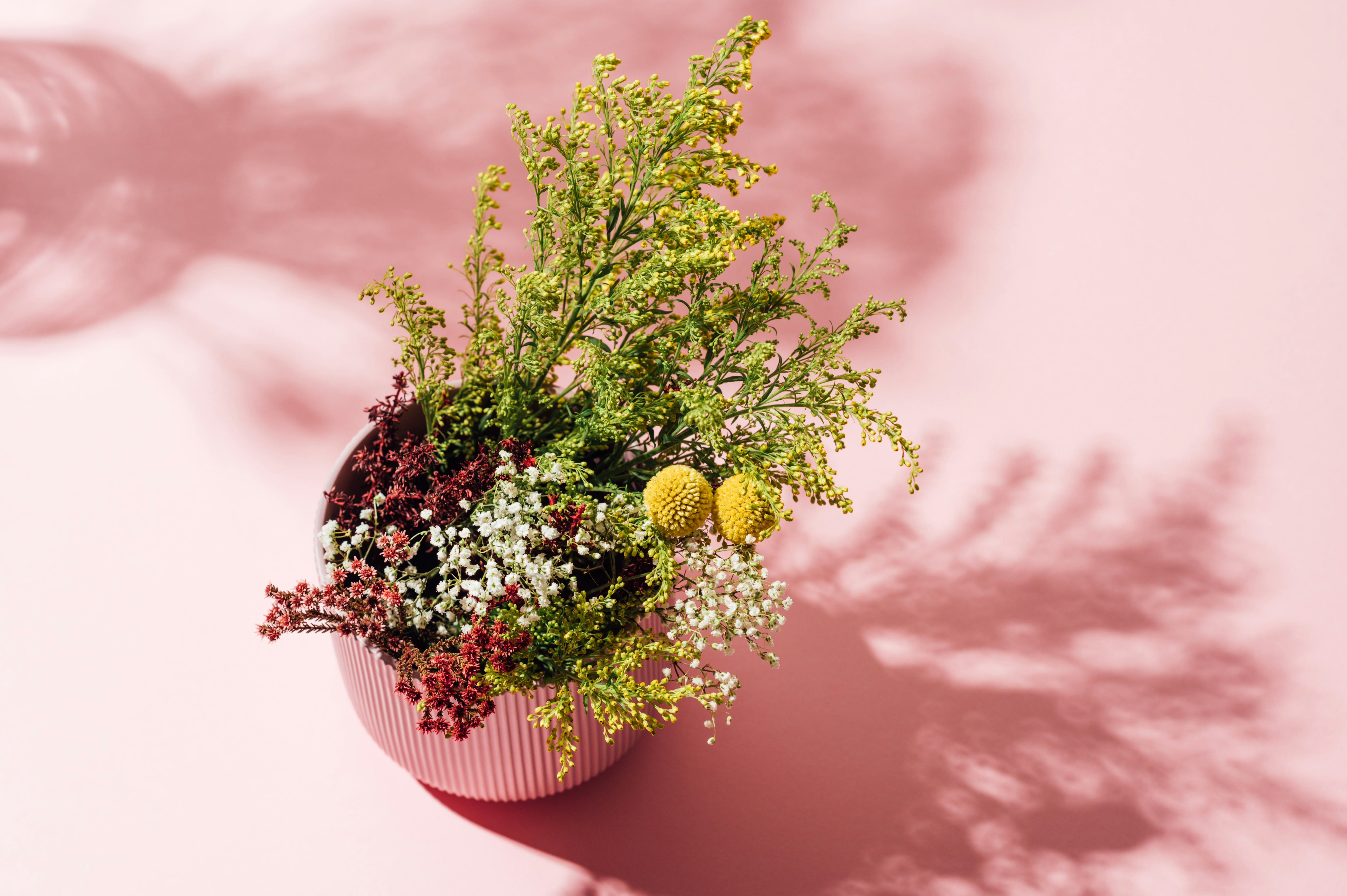 Photo by chuttersnap