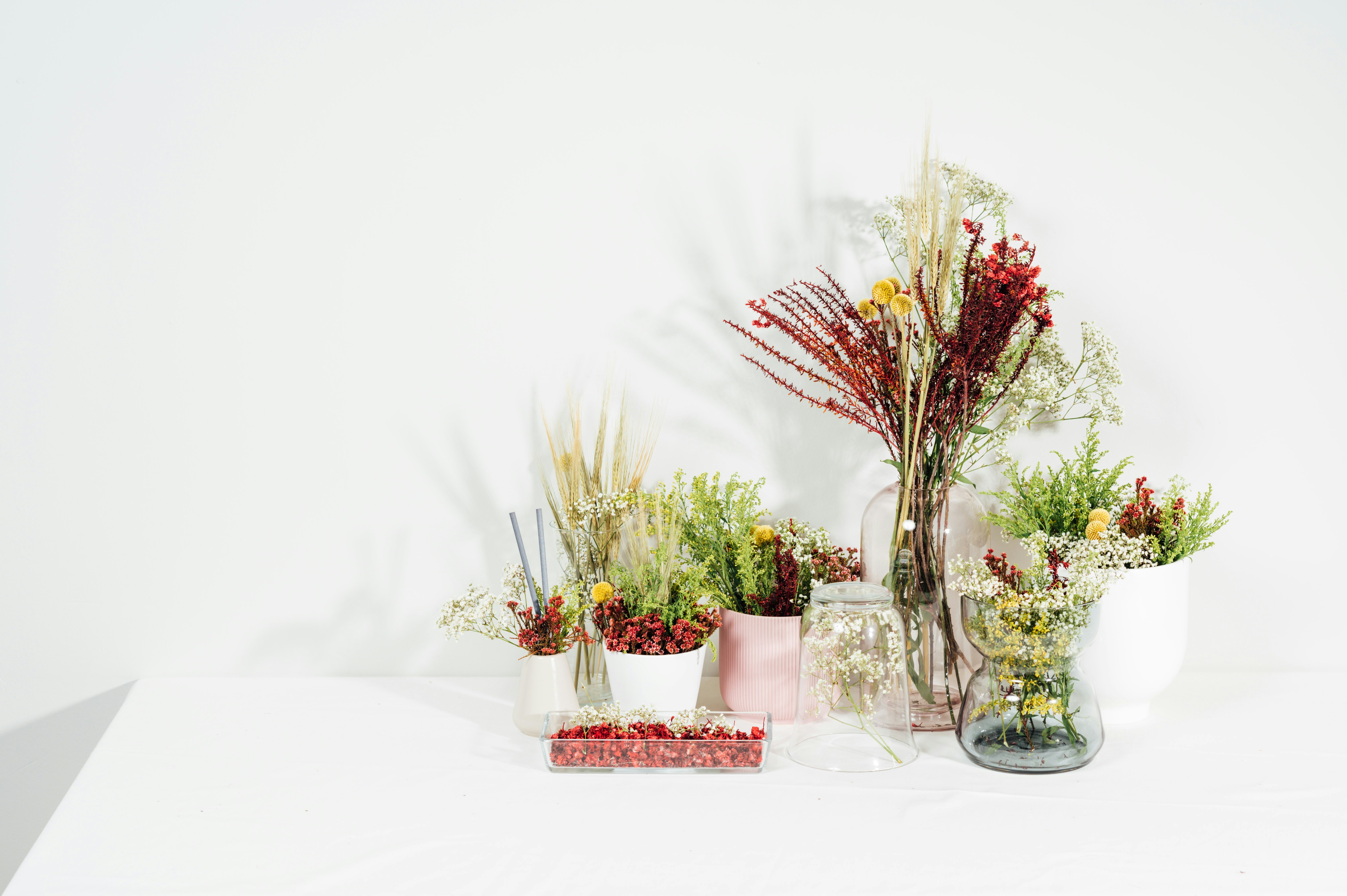 Photo by chuttersnap