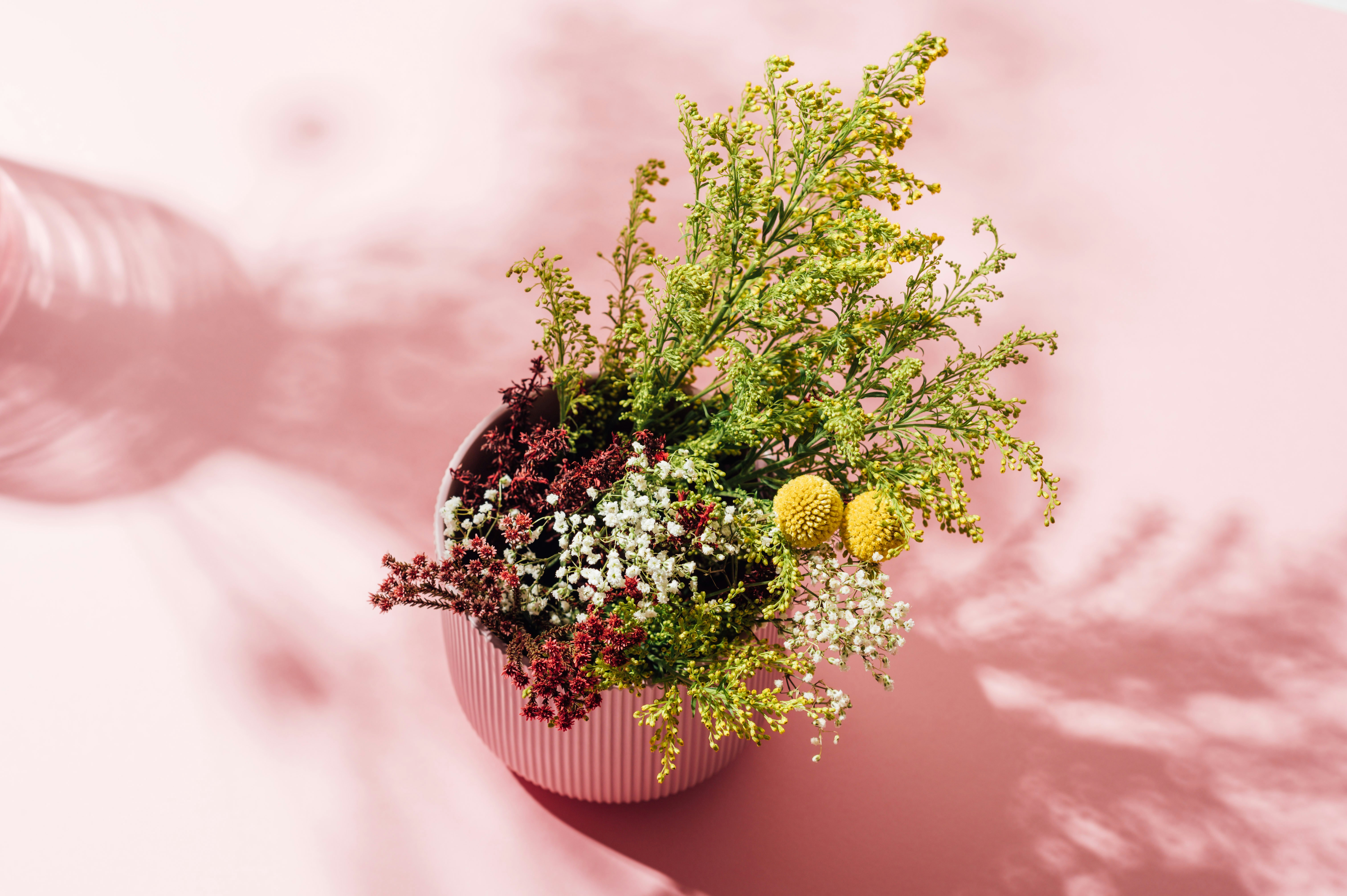 Photo by chuttersnap