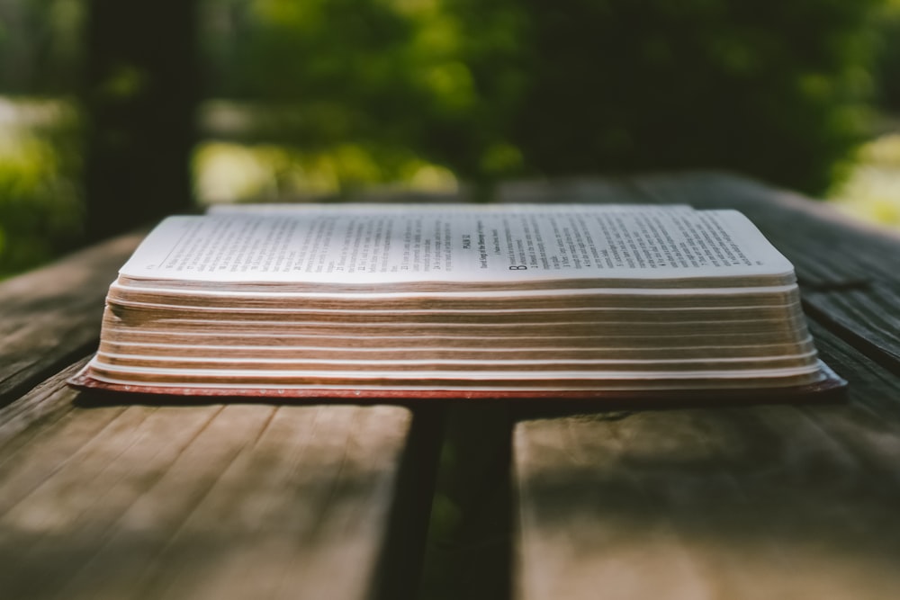 black and white book on brown wooden table