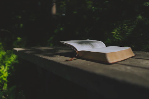 white book on brown wooden table