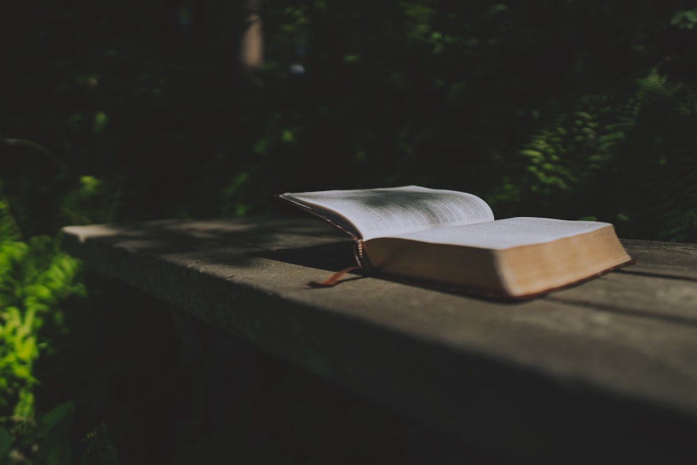 white book on brown wooden table