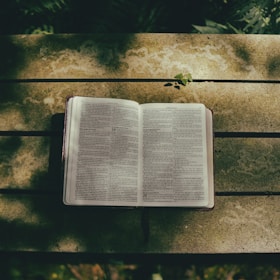 An open Bible resting on a wooden table with soft lighting.