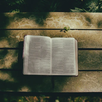 An open Bible resting on a wooden table surrounded by olive branches and soft light.