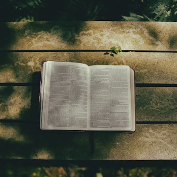 An open Bible resting on a wooden table with soft natural light.